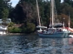 Junk rig sailboat it would heel 15 degrees in this water as a person came out of the dinghy!  Saw it in Nanaimo later so must be ok