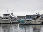 Tollycraft rendezvous at Anacortes visitor dock. Counted 24 Tollys on a rainy Saturday.