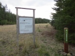 Old airstrip on Cypress