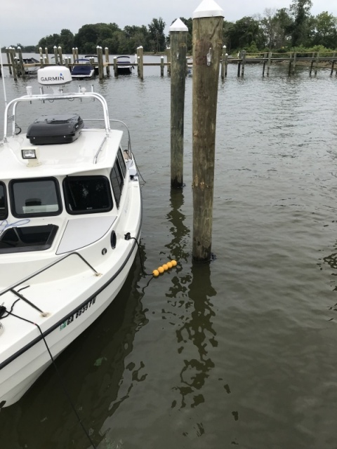 Mid cleat tideminder. Tides range from 2-3 feet, but this marina is exposed to wakes and waves whenever the wind is from NW through ENE.
