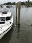 Mid cleat tideminder. Tides range from 2-3 feet, but this marina is exposed to wakes and waves whenever the wind is from NW through ENE.