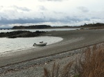 Beach combing on Rainsford Island in the Boston Harbor.