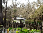 This away anchored in Deep Creek Swamp