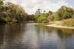 On Econlockhatchee River