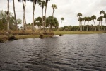 Near tree line Econlockhatchee river