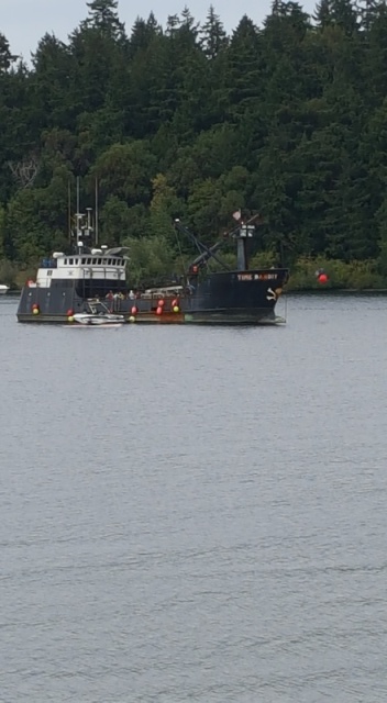 Time Bandit - Andrews Bay