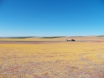 Driving through the Palouse to the Snake River.