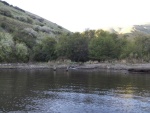 This canyon bay had running water.  I scared off a great blue heron, a flock of pintail ducks, a river otter, a black Angus cow and her calf, and probably other wildlife. 