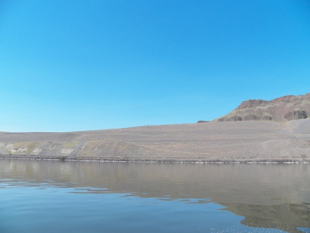 The black dot right in the middle on the ridge is a Black Angus steer.