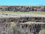 Right in the middle on the lower ridge is a rooster pheasant that was crowing.