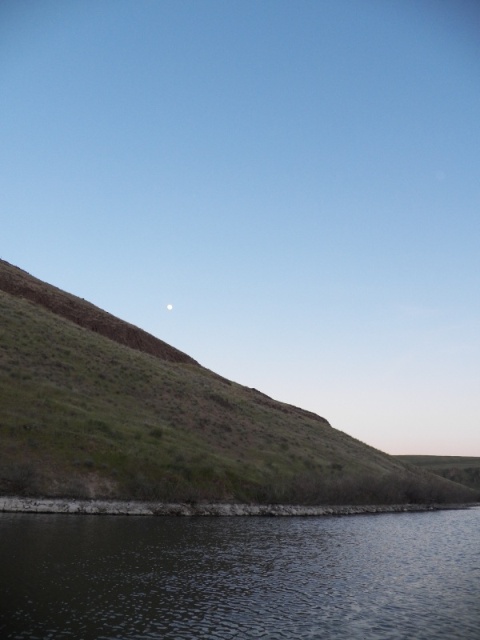 The moon comes up and muskrats swim by.