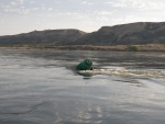 Then the river started to get lively.  This is not a green can buoy.  It is marking an underwater obstruction.