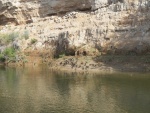 They were here because their nest building material (mud) was readily available.  The volcanic ash cliffs actually soaked up water several feet and had a dark wet rim around the bottom, as seen here.  The swallows are all flapping their wings because they don't have enough body mass to drive their beaks into the packed ash.  They have to 