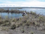 It is difficult to go ashore because most of what shows as islands on the chart is patches of marsh vegetation.  This one had a sand bar with a really deep pool.  Sat on the hill and watched stuff through the binoculars.  Forgot about taking pictures.