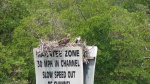 Of course the osprey nests were everywhere and full of chicks.
