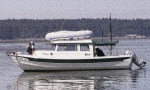Halcyon on the Nisqually Delta Painting