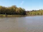 Lots and lots of dolphins and pilings on every river in Grays Harbor.