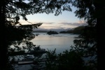 Port Alberni Yacht club harbor view from hiking trail