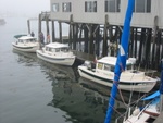 Three C-Dories all in a row, Boothbay Harbor 