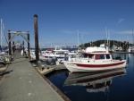 Some of the C-Brats at Friday Harbor on May 20th