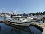 Some of the C-Brats at Friday Harbor on May 20th