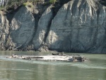 Wreck of the Klondike 1.  We tied up to this in 2003