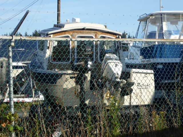 2016-07-05 Angler 22 Classic in Bellingham