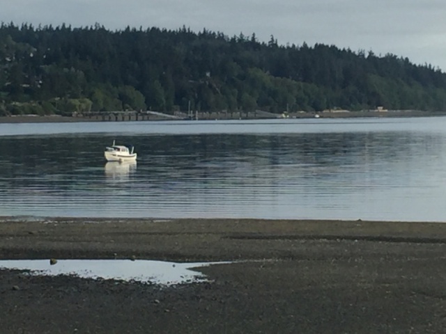 2016-07-01 Cruiser 22 at Holmes Harbor