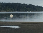 2016-07-01 Cruiser 22 at Holmes Harbor