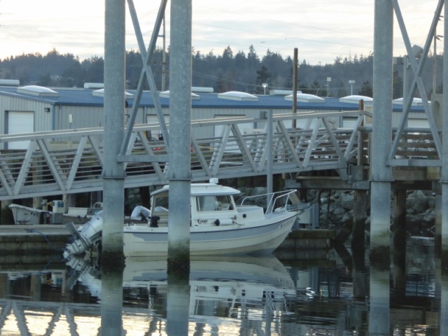 C-dory 19 Jan 15th 2017 in Anacortes