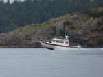 25 Cruiser (Reel Lucky) passing through Spencer Spit on Saturday
