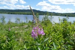 Rest stop enroute to Prince Rupert