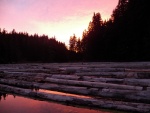 There was a log raft of what appeared to be salvaged cedar.  I just tied up to it.