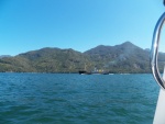 The 136' wooden Uchuck III (sometimes called the Upchuck, depending on sea conditions) heading to Gold River.  It's a cruising ferry and you can spend several days on board.