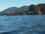 The wind hadn't come up and it was a mild swell, so I decided to go past Yuquot and see if I could circumnavigate Nootka Island south to north before the afternoon winds came up.