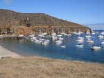 C-Dories at Two Harbors - 7 boats attended