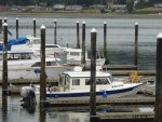 Lots of space at the visitor dock on a Saturday afternoon in August