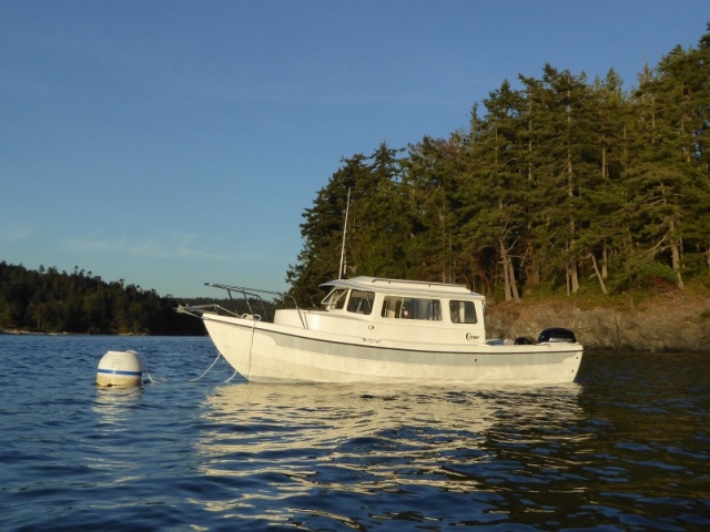 On the buoy at Skagit Island