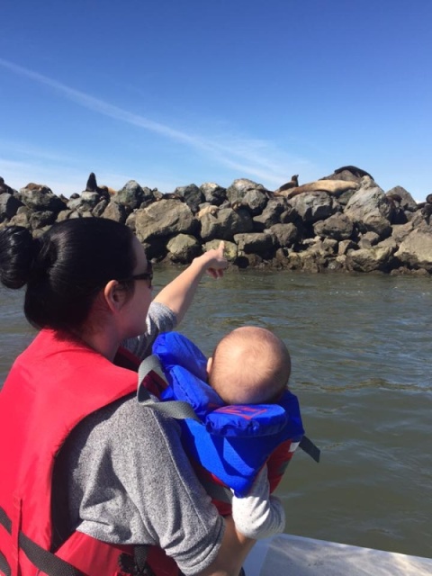 Sea Lions on Steveston Jetty by Sandheads