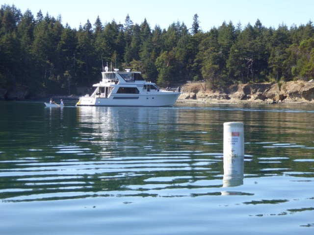 Big yacht with bikini-clad babes, anchored well inside in the No-Anchor eelgrass recovery zone!