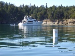 Big yacht with bikini-clad babes, anchored well inside in the No-Anchor eelgrass recovery zone!