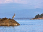 At the entrance to Fossil Bay