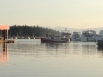 Nanaimo Harbour 