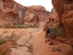 Many of the creek bottoms were fascinating.