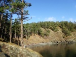 Cove on the East side of the island with 4 state park buoys