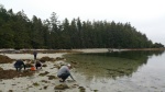 Clamming at Clark island