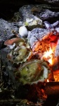 Oyster roast each night