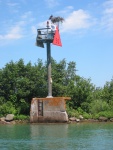 Osprey nest