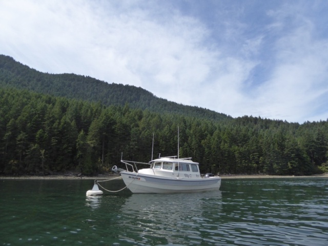 For some reason this innermost buoy at Eagle Harbor is always available when the others are full. I think it's the 5' depth at low tide.