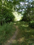 Trail at Eagle Harbor